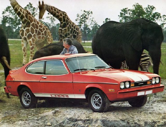 197643.jpeg