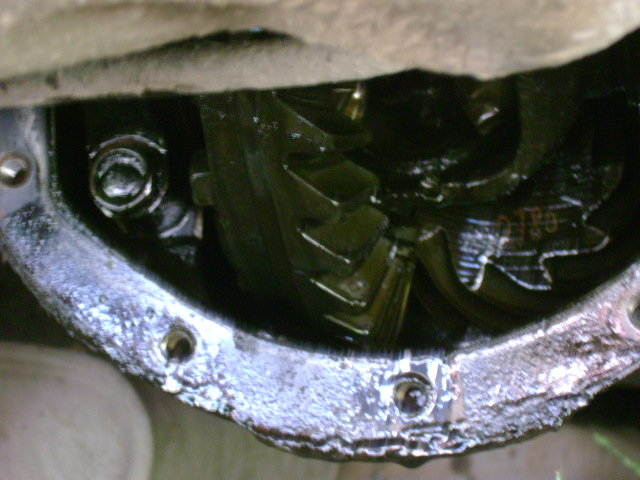 DSC01584.JPG