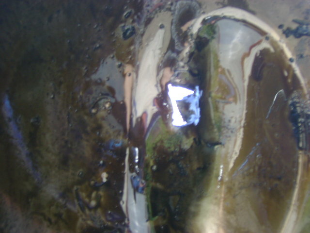 DSC01587.JPG