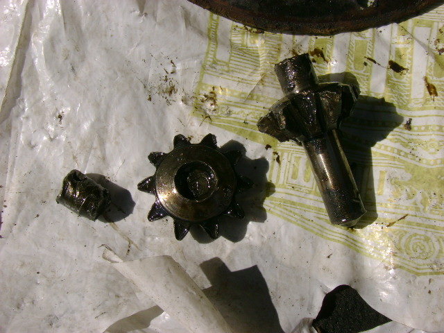 DSC01586.JPG