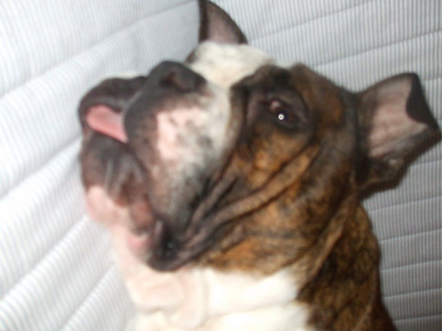 DSCF4737_resize.JPG