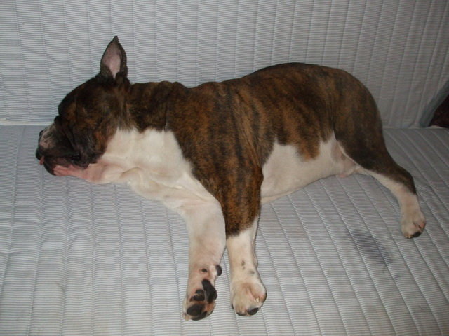 DSCF4736_resize.JPG