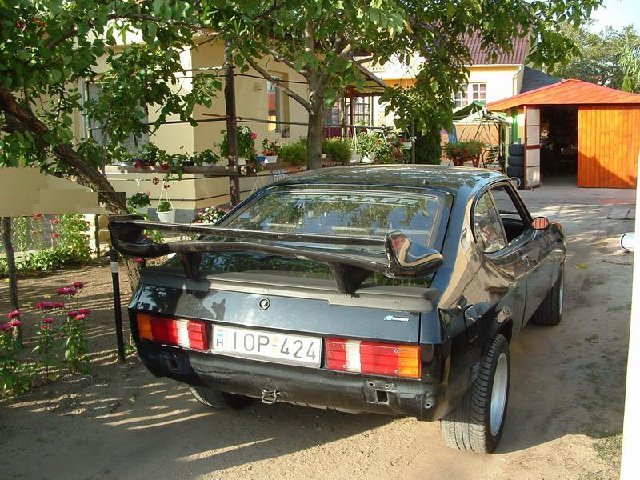 szar_01_átméretezett.JPG
