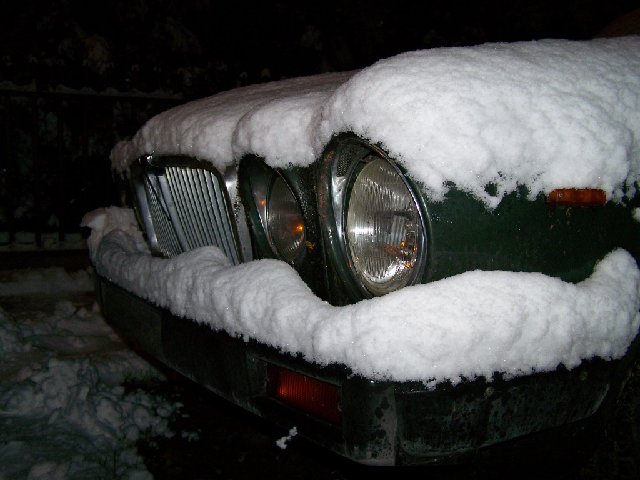 100_1989.JPG