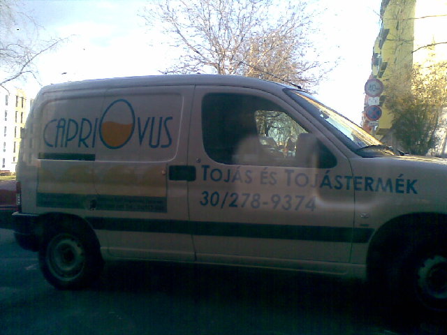 20081223(004).jpg