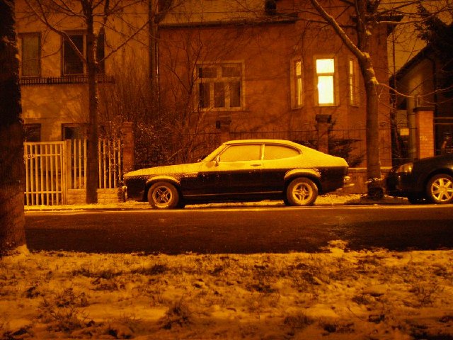 P2160231-1.JPG