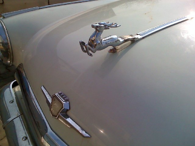 moto_1170.jpg