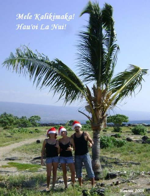 Mele Kalikimaka!.jpg