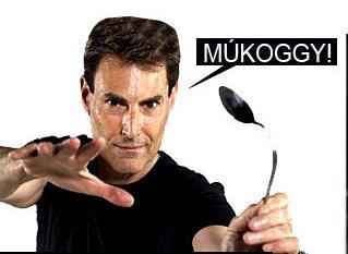 mukoggy.jpg
