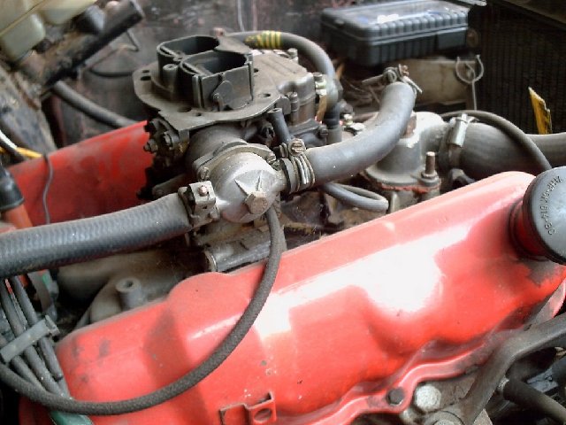 PICT0398.JPG