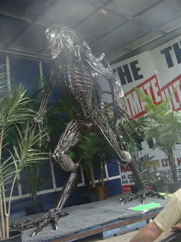 DSC03564.JPG