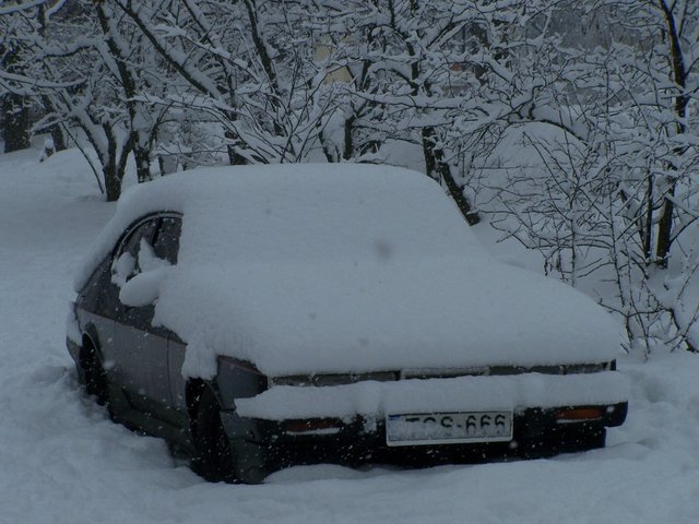 100_5215.JPG