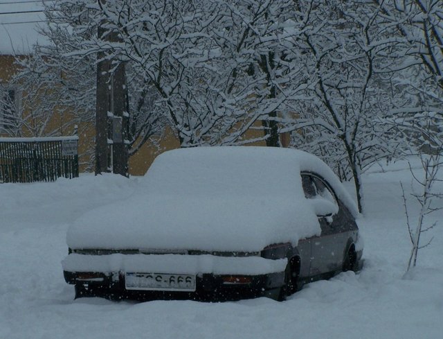 100_5217.JPG