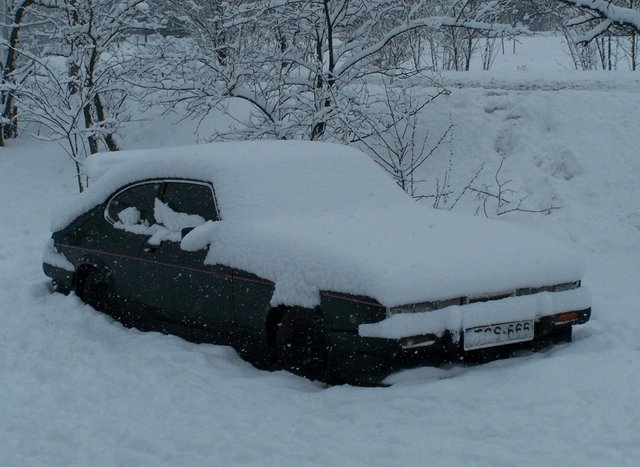 100_5220.JPG