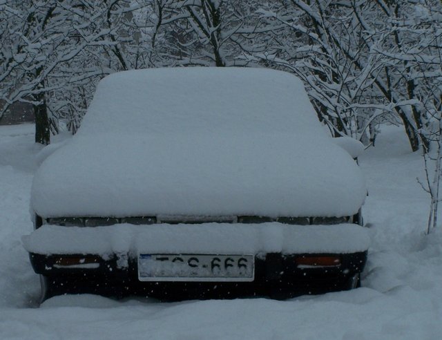 100_5221.JPG