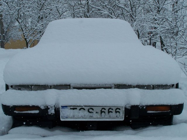 100_5223.JPG