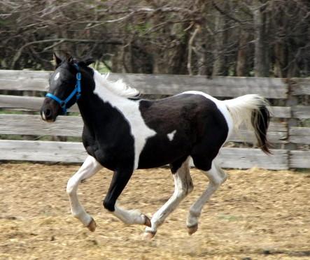 C2010521153641.jpg