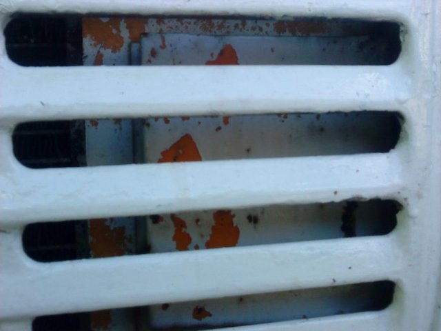 DSC00243.JPG