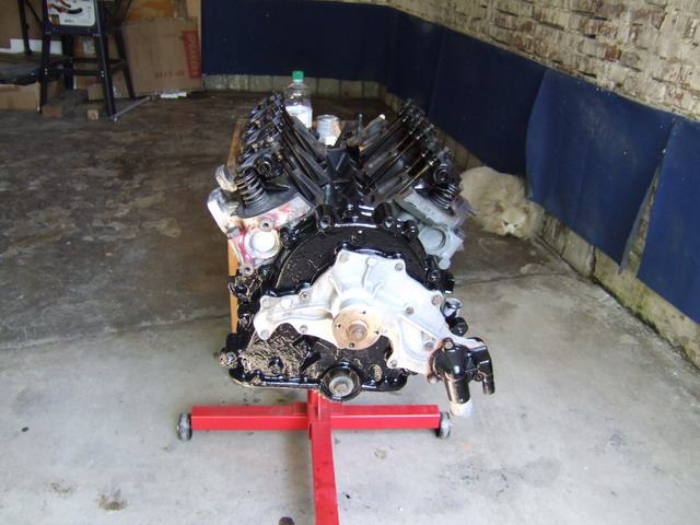 DSCF9378_resize.JPG