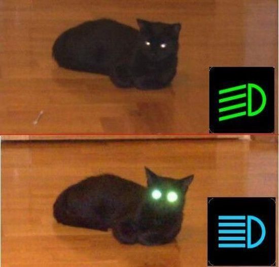ű.jpg