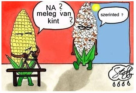 Fából Vaskarika