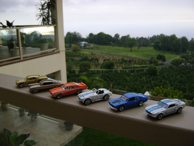 DSC07837.jpg