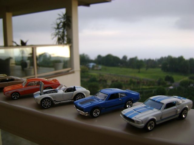 DSC07927.jpg