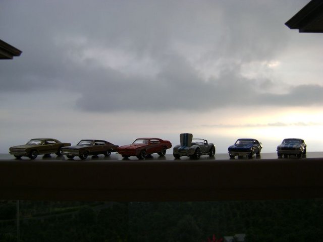 DSC07921.jpg