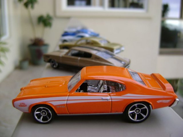 DSC07884.jpg
