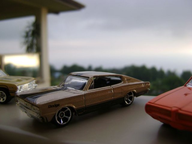 DSC07942.jpg