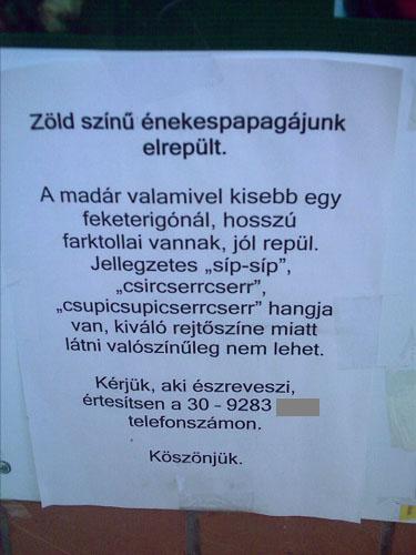 madár.jpg