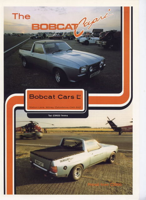 BobcatCapri1-1.jpg
