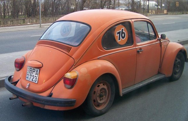 100_6239.JPG