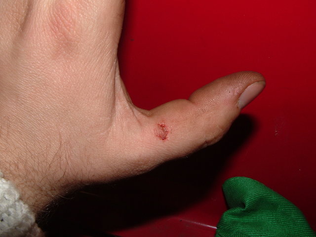 dscf1173.jpg