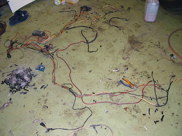 DSCF2574.JPG