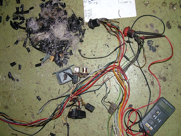 DSCF2575.JPG
