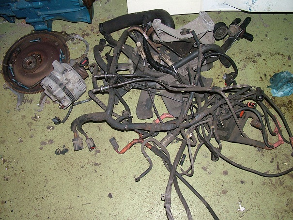 DSCF2582.JPG